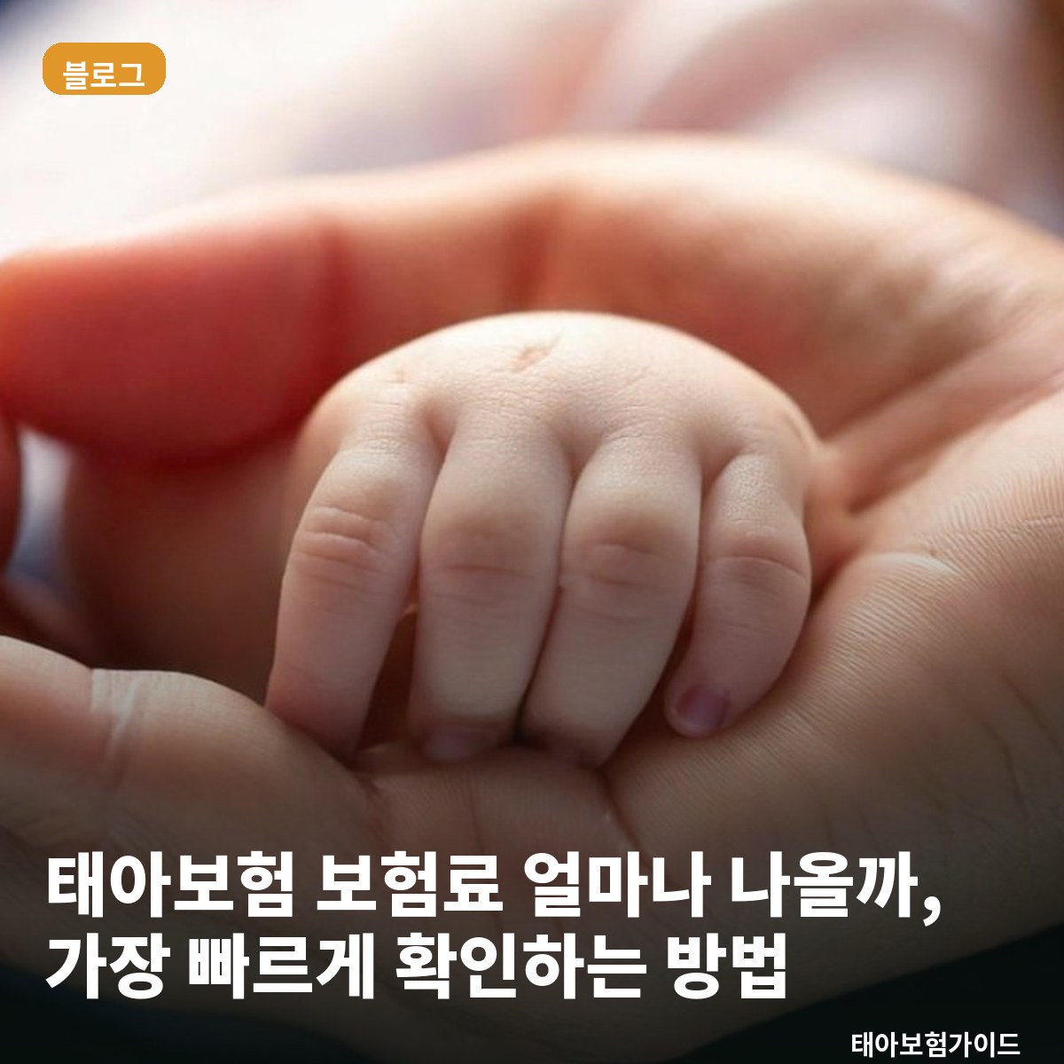태아보험 보험료 얼마나 나올까, 가장 빠르게 확인하는 방법