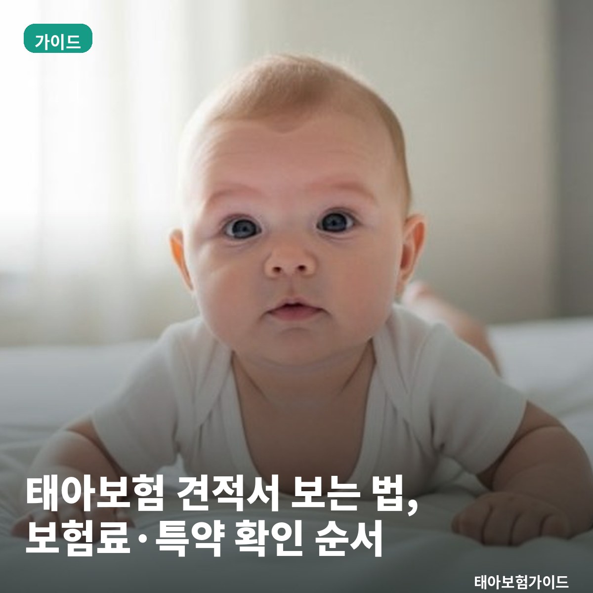 태아보험 견적서 보는 법, 보험료·특약·갱신 여부 확인하는 순서